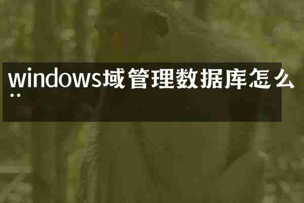 windows域管理数据库怎么用