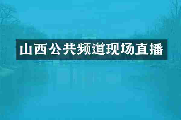 山西公共频道现场直播
