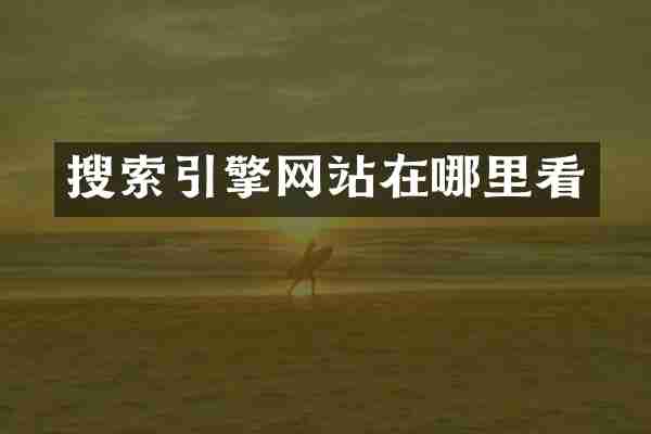 搜索引擎网站在哪里看