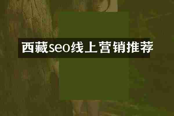 西藏seo线上营销推荐
