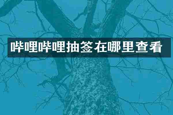 哔哩哔哩抽签在哪里查看