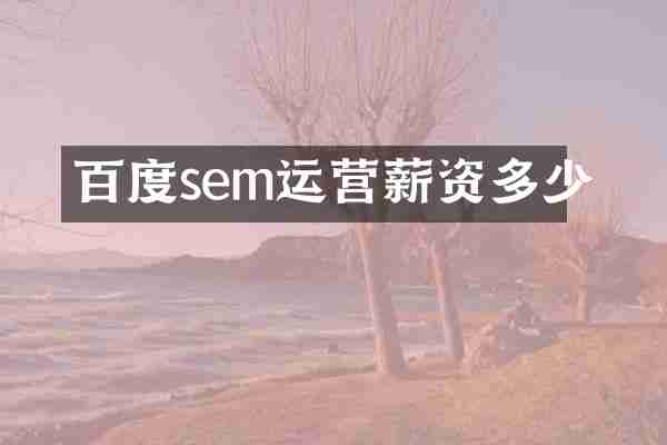 百度sem运营薪资多少