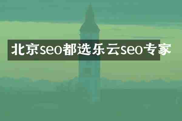 北京seo都选乐云seo专家