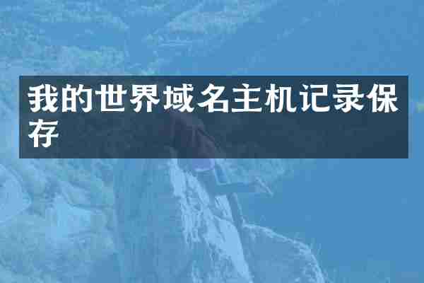 我的世界域名主机记录保存