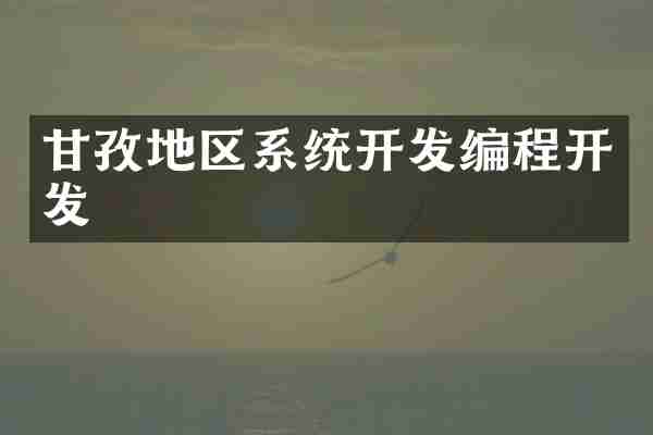 甘孜地区系统开发编程开发