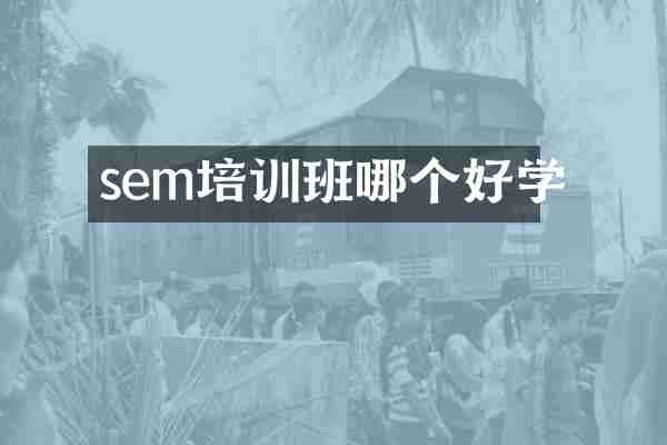 sem培训班哪个好学