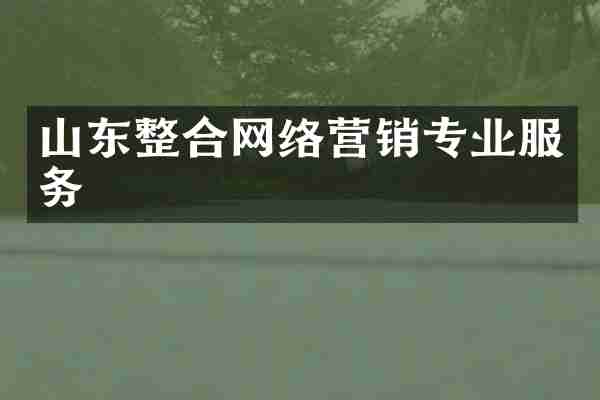 山东整合网络营销专业服务