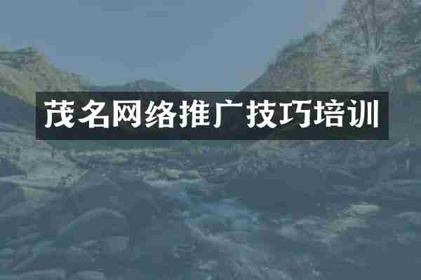 茂名网络推广技巧培训