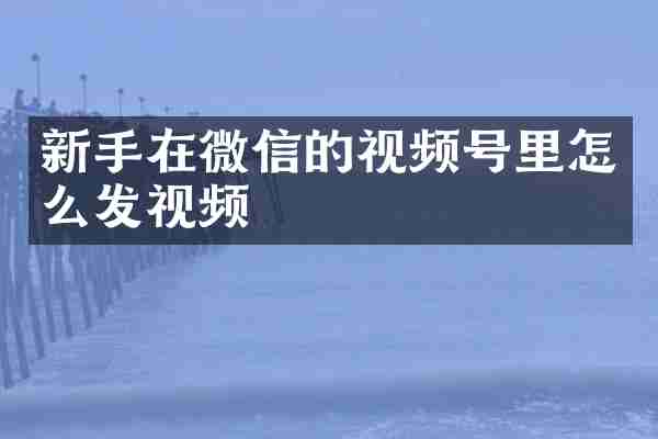 新手在微信的视频号里怎么发视频