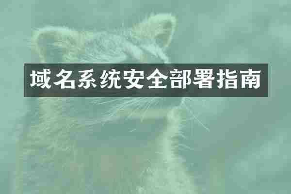 域名系统安全部署指南