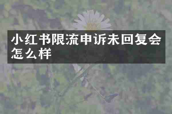小红书限流申诉未回复会怎么样