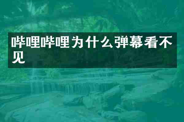 哔哩哔哩为什么弹幕看不见