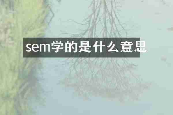sem学的是什么意思