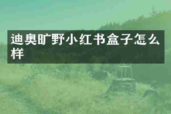 迪奥旷野小红书盒子怎么样