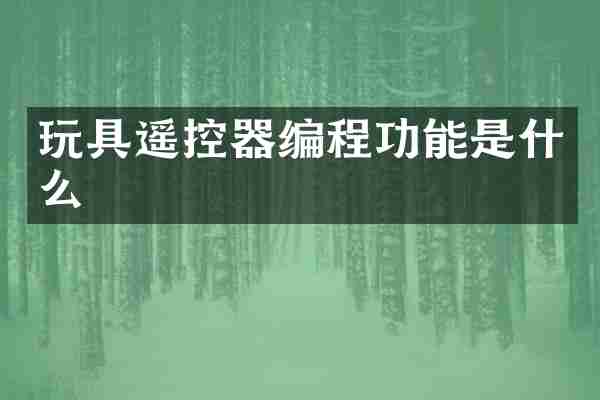 玩具遥控器编程功能是什么
