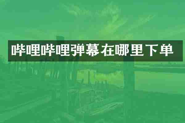 哔哩哔哩弹幕在哪里下单