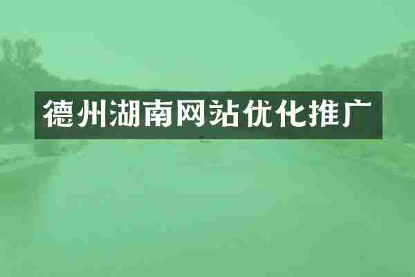 德州湖南网站优化推广