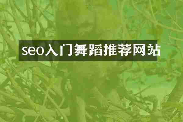 seo入门舞蹈推荐网站