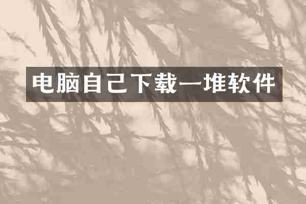 电脑自己下载一堆软件