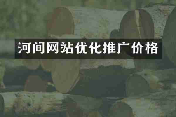 河间网站优化推广价格