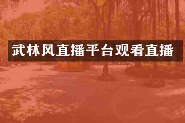 武林风直播平台观看直播