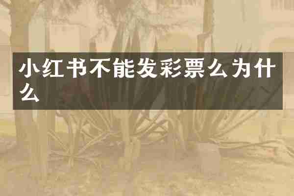 小红书不能发彩票么为什么