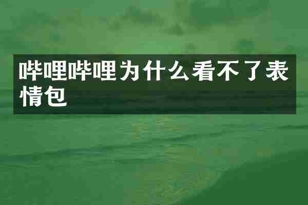 哔哩哔哩为什么看不了表情包