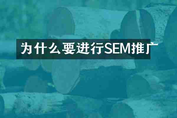 为什么要进行SEM推广