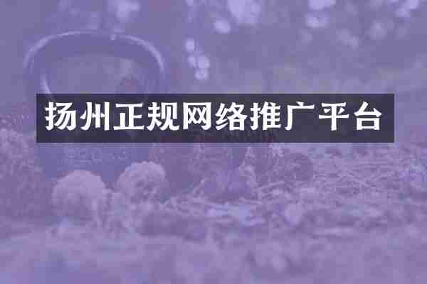 扬州正规网络推广平台