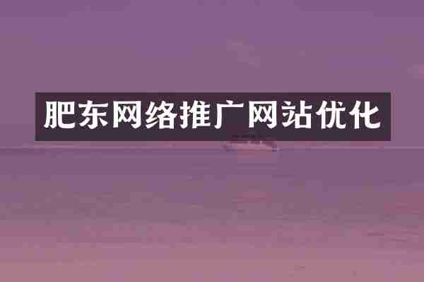 肥东网络推广网站优化