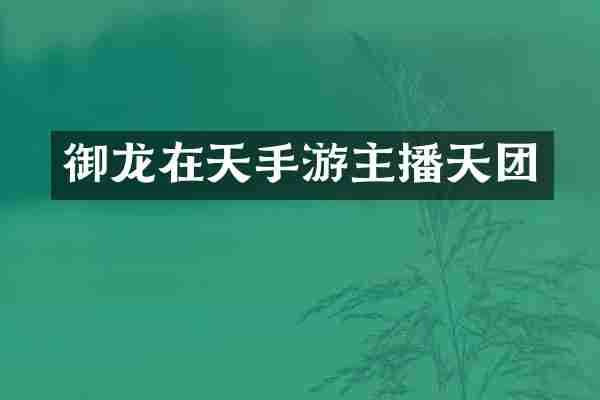 御龙在天手游主播天团