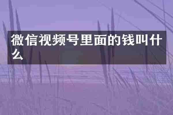 微信视频号里面的钱叫什么