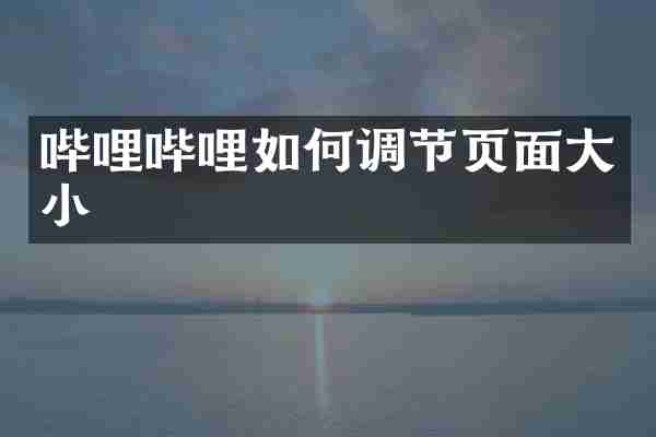 哔哩哔哩如何调节页面大小