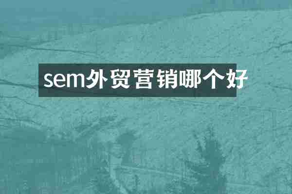 sem外贸营销哪个好