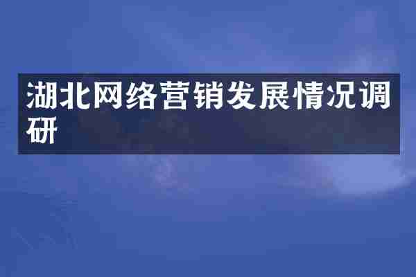 湖北网络营销发展情况调研