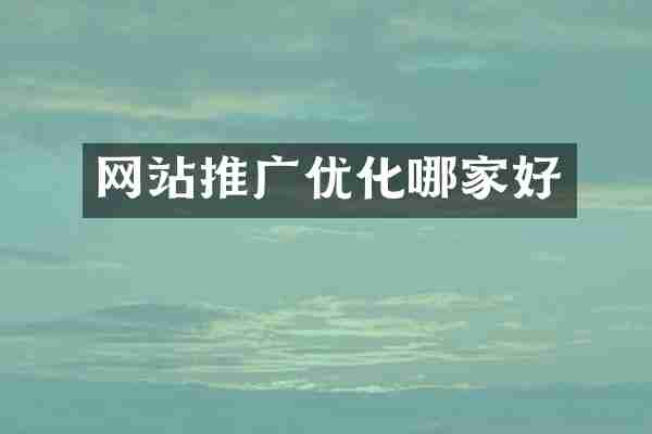 网站推广优化哪家好