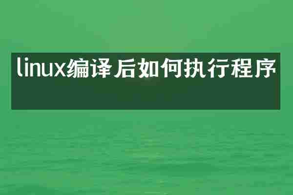 linux编译后如何执行程序吗