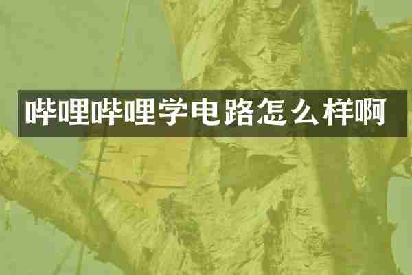 哔哩哔哩学电路怎么样啊