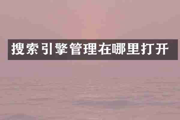 搜索引擎管理在哪里打开