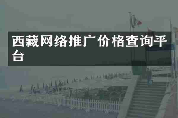 西藏网络推广价格查询平台