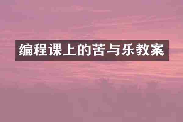 编程课上的苦与乐教案