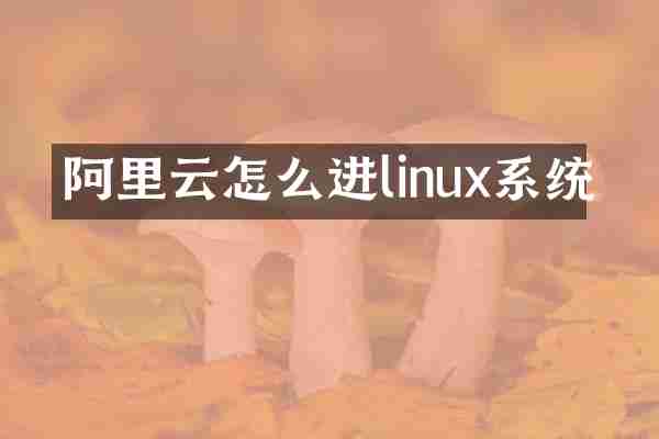 阿里云怎么进linux系统
