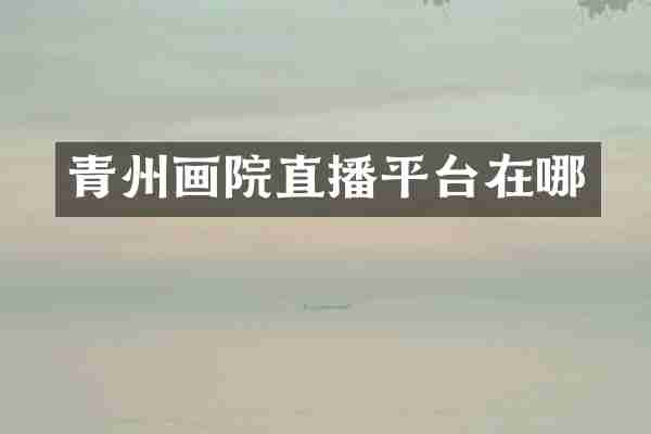 青州画院直播平台在哪