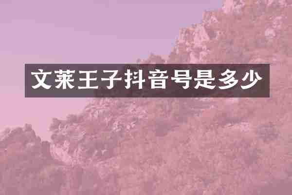 文莱王子抖音号是多少