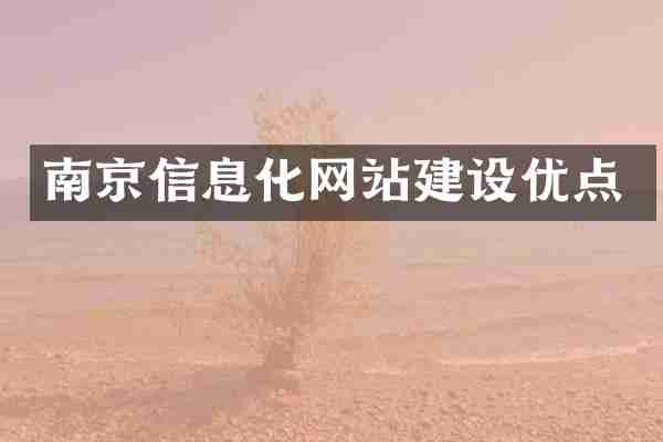 南京信息化网站建设优点