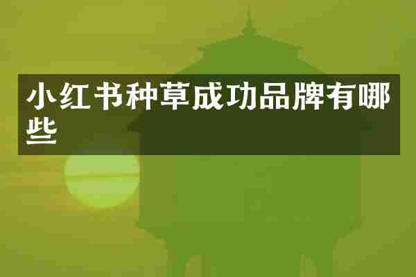 小红书种草成功品牌有哪些