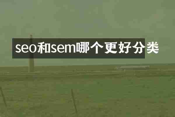 seo和sem哪个更好分类