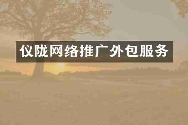 仪陇网络推广外包服务