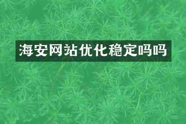 海安网站优化稳定吗吗
