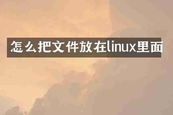 怎么把文件放在linux里面